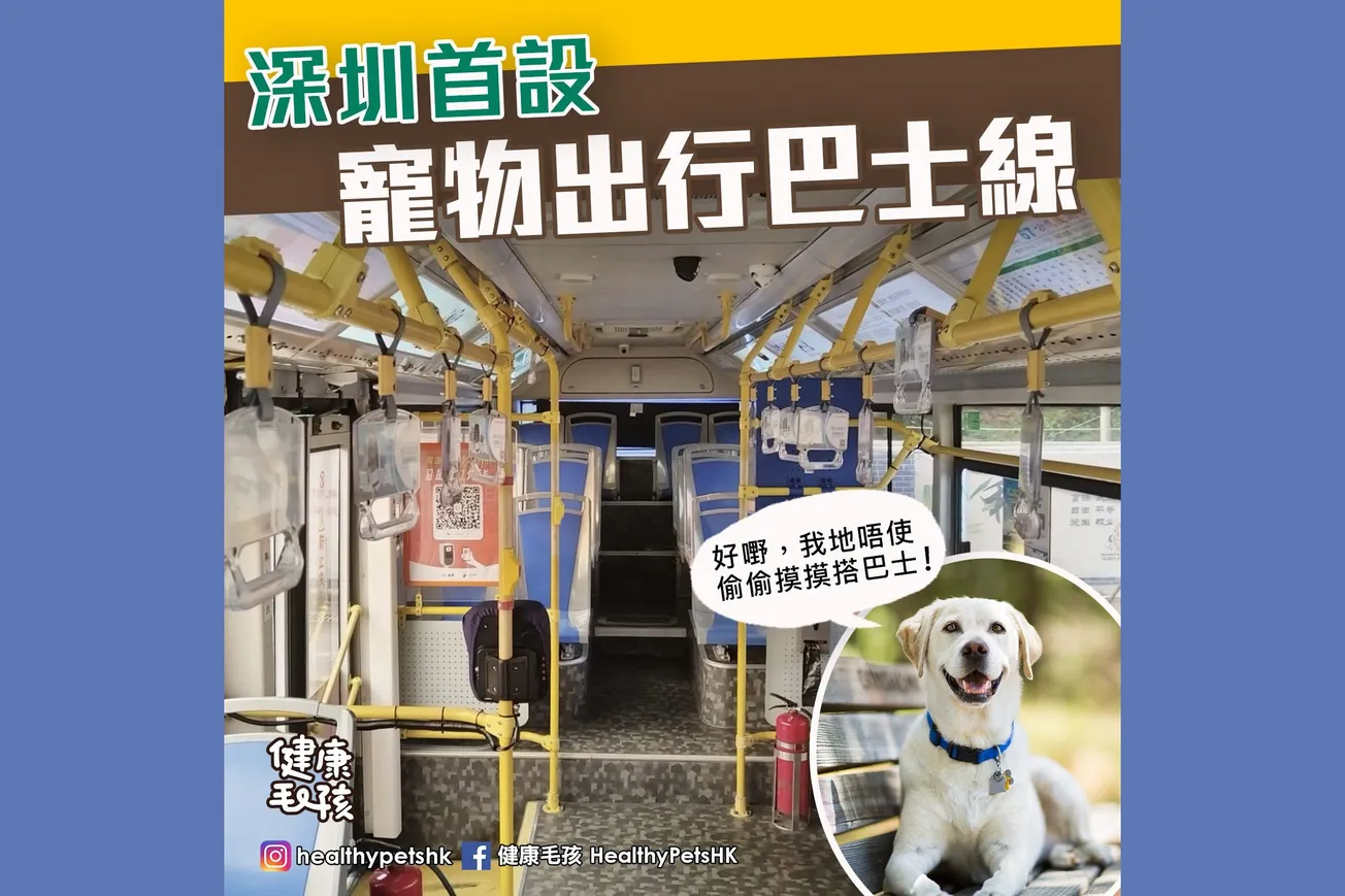 深圳首設 寵物出行巴士線