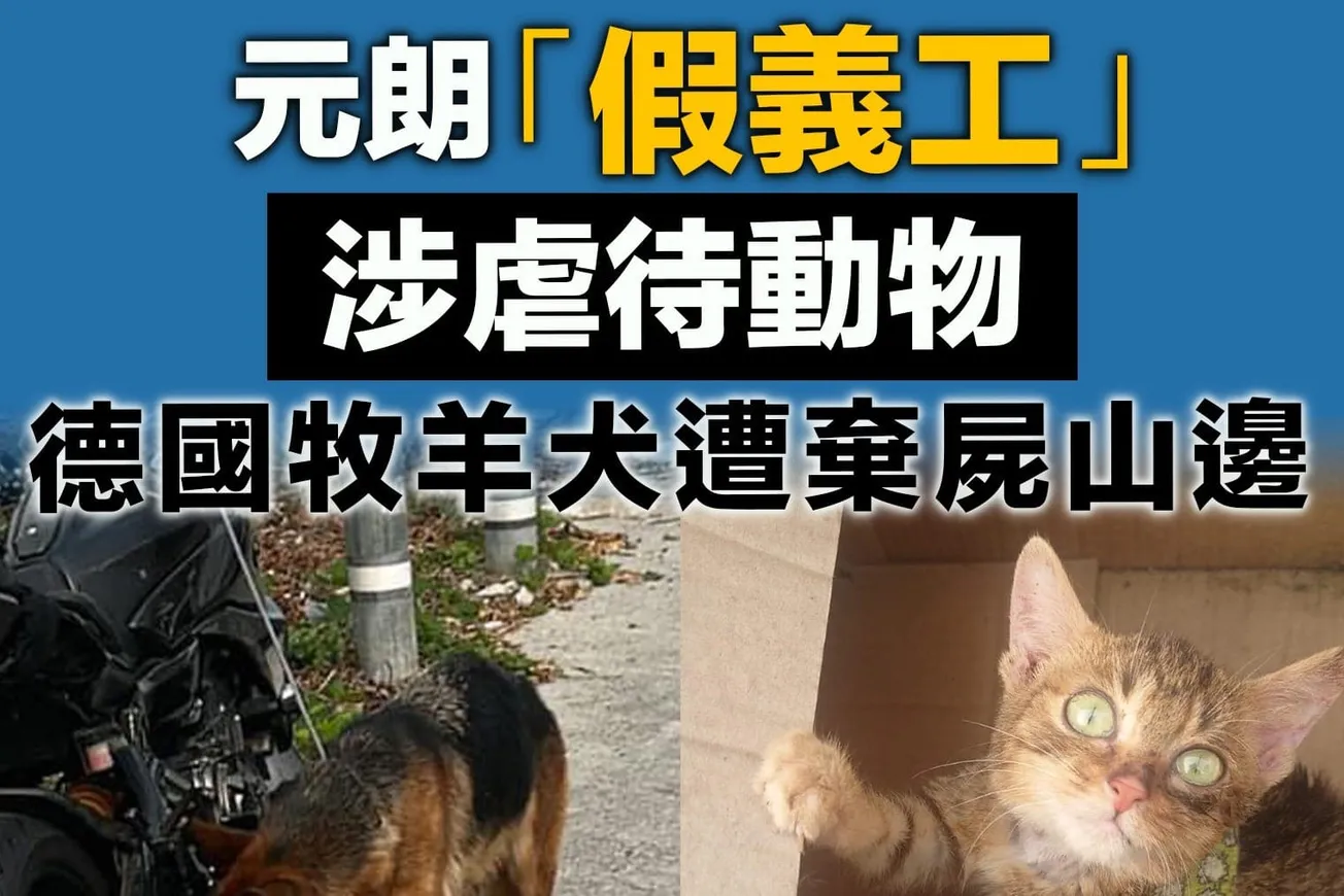 元朗「假義工」涉虐待動物 德國牧羊犬遭棄屍山邊