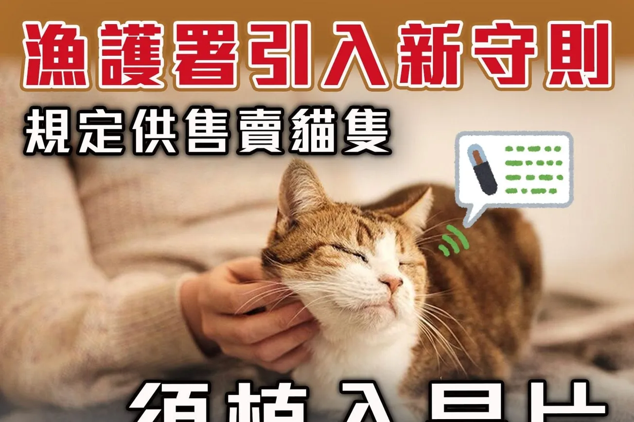 漁護署引入新守則 規定供售賣貓隻 須植入晶片