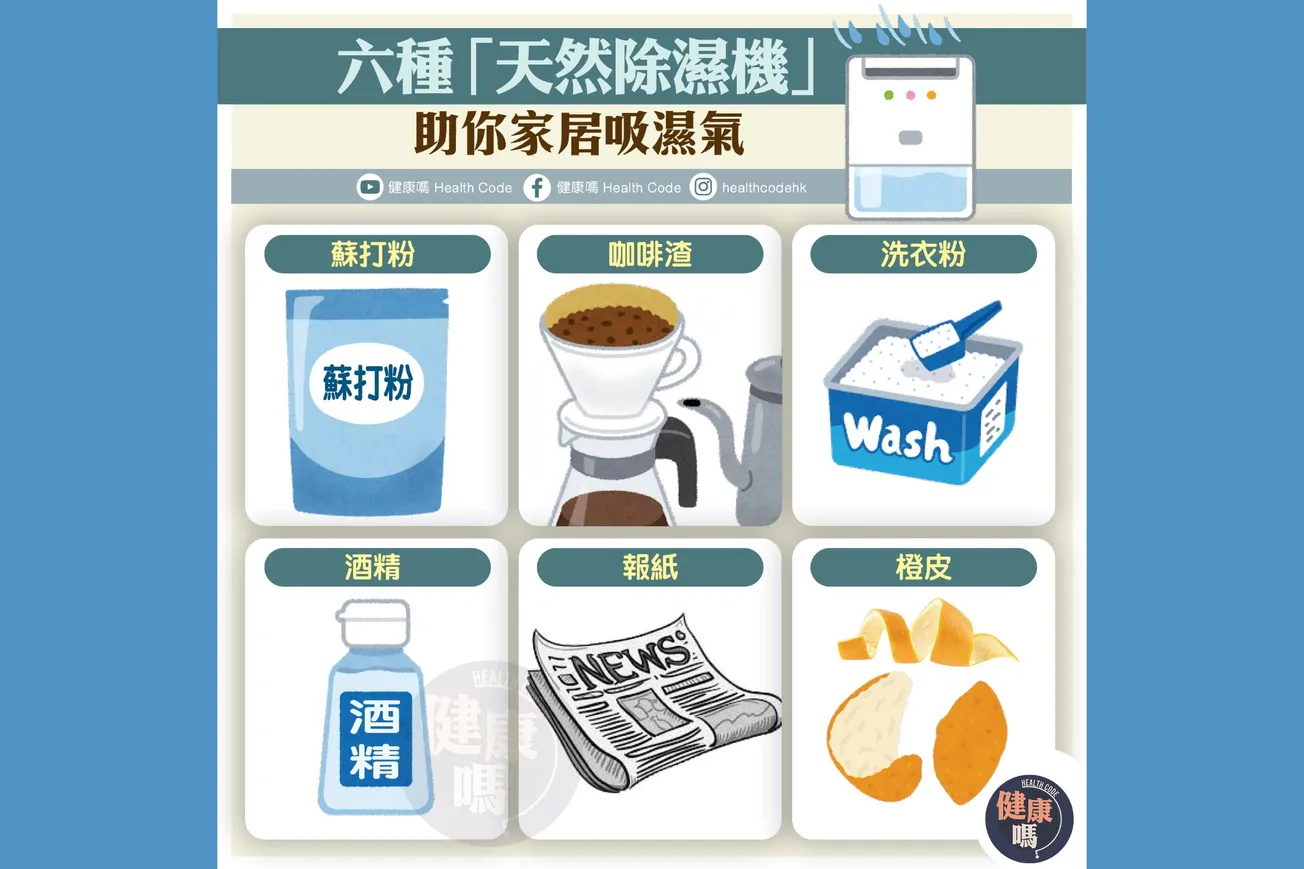 六種「天然除濕機」 助你家居吸濕氣