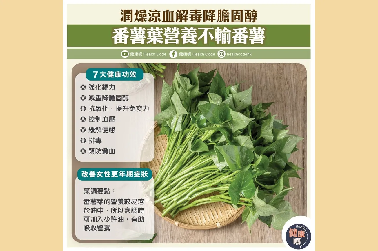 潤燥涼血解毒降膽固醇 番薯葉營養不輸番薯