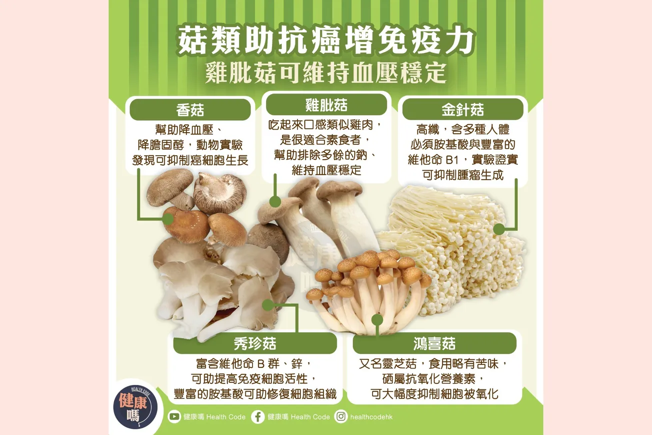 菇類助抗癌增免疫力 雞肶菇可維持血壓穩定