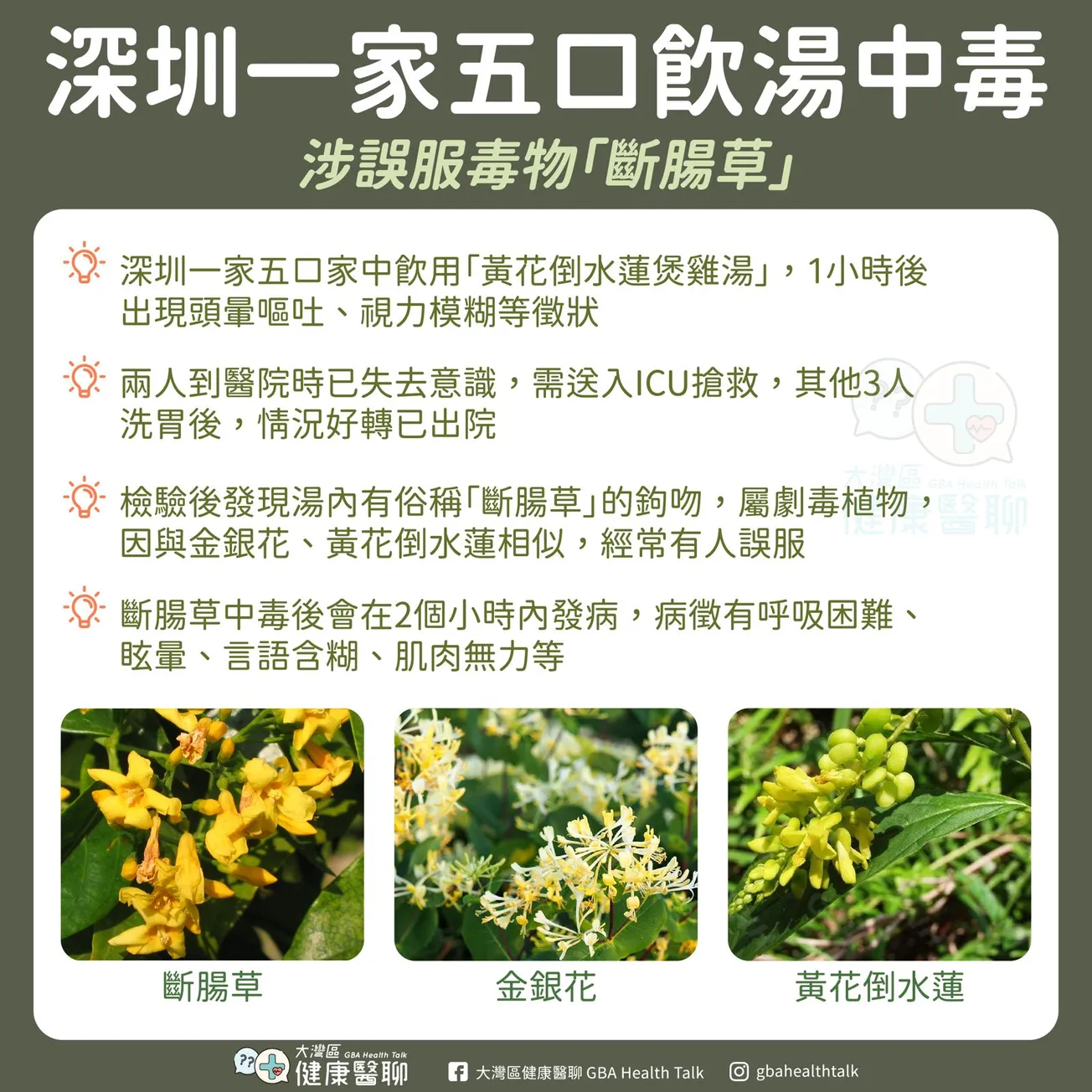 深圳一家五口飲湯中毒 涉誤服毒物「斷腸草」