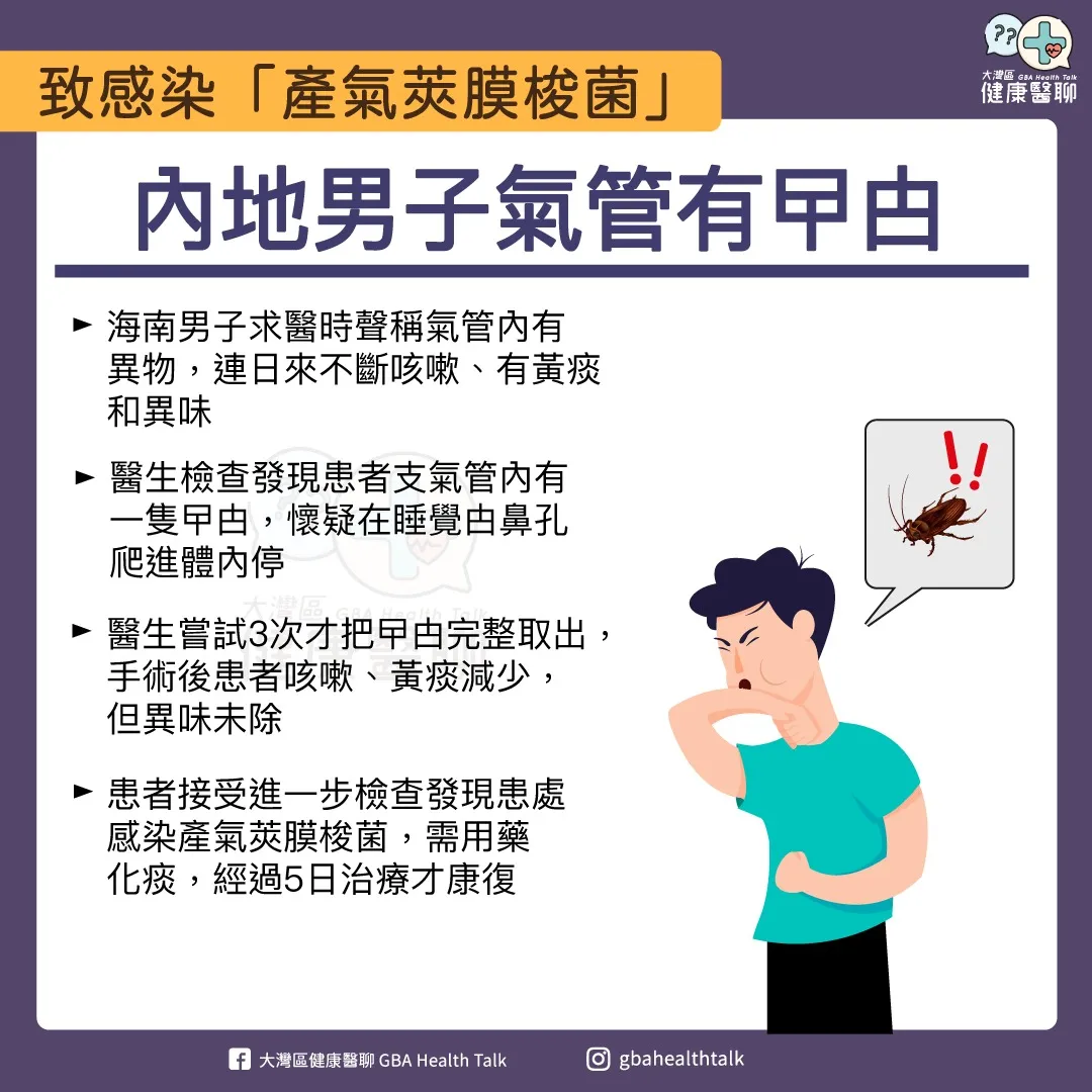 致感染「產氣莢膜梭菌」 內地男子氣管有曱甴