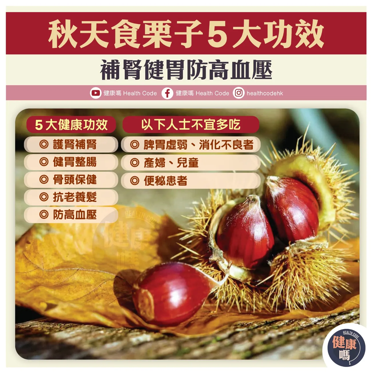 秋天食栗子 5 大功效 補腎健胃防高血壓