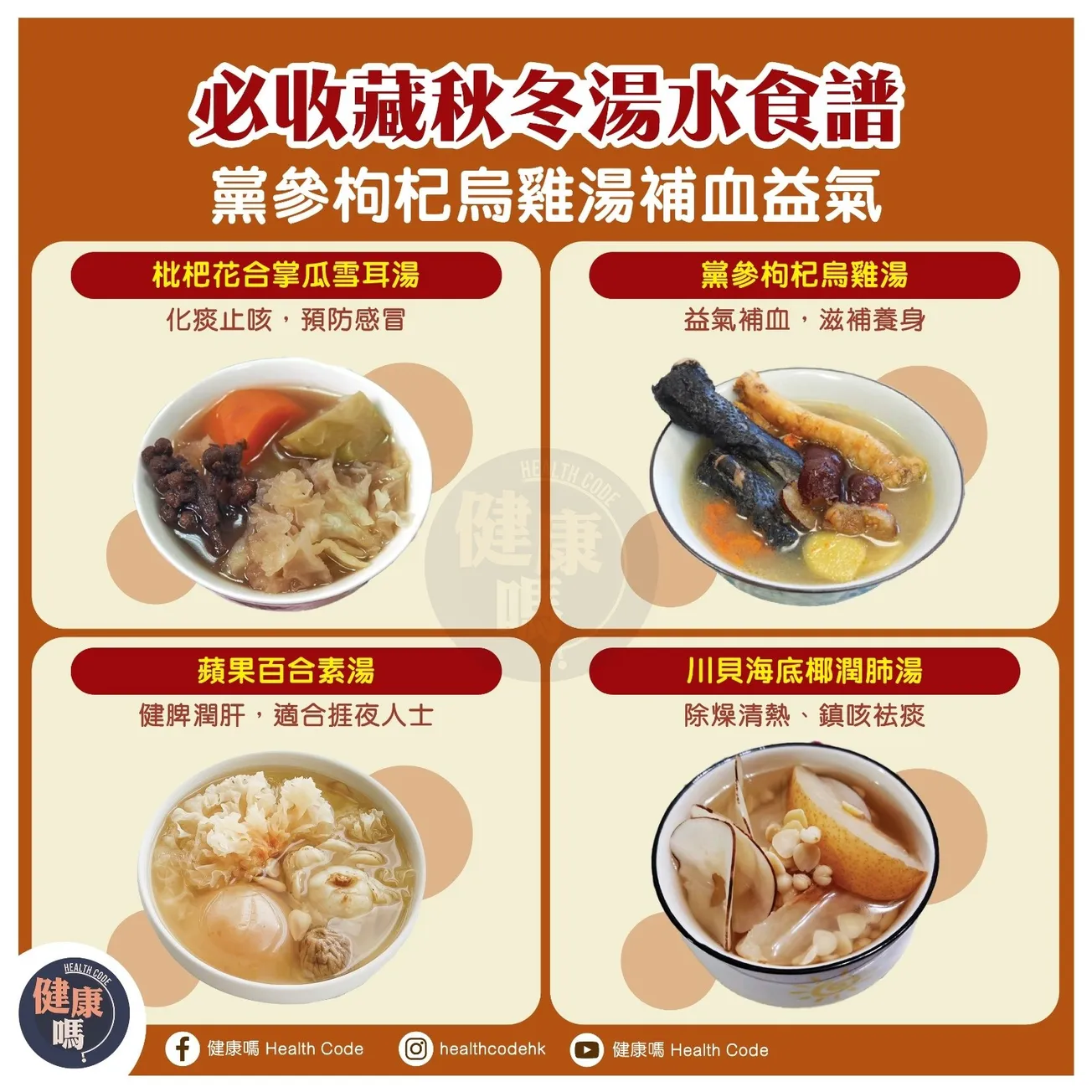 必收藏秋冬湯水食譜 黨參枸杞烏雞湯補血益氣