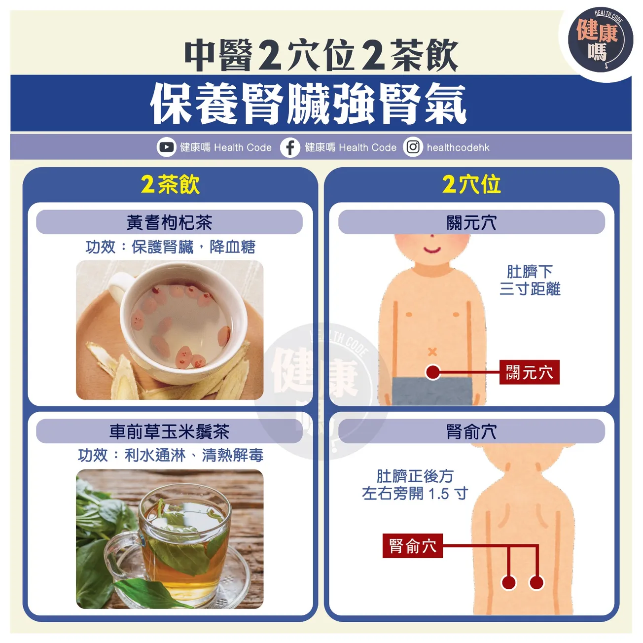 中醫 2 穴位 2 茶飲 保養腎臟強腎氣