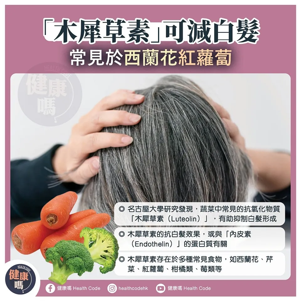 「木犀草素」可減白髮 常見於西蘭花紅蘿蔔