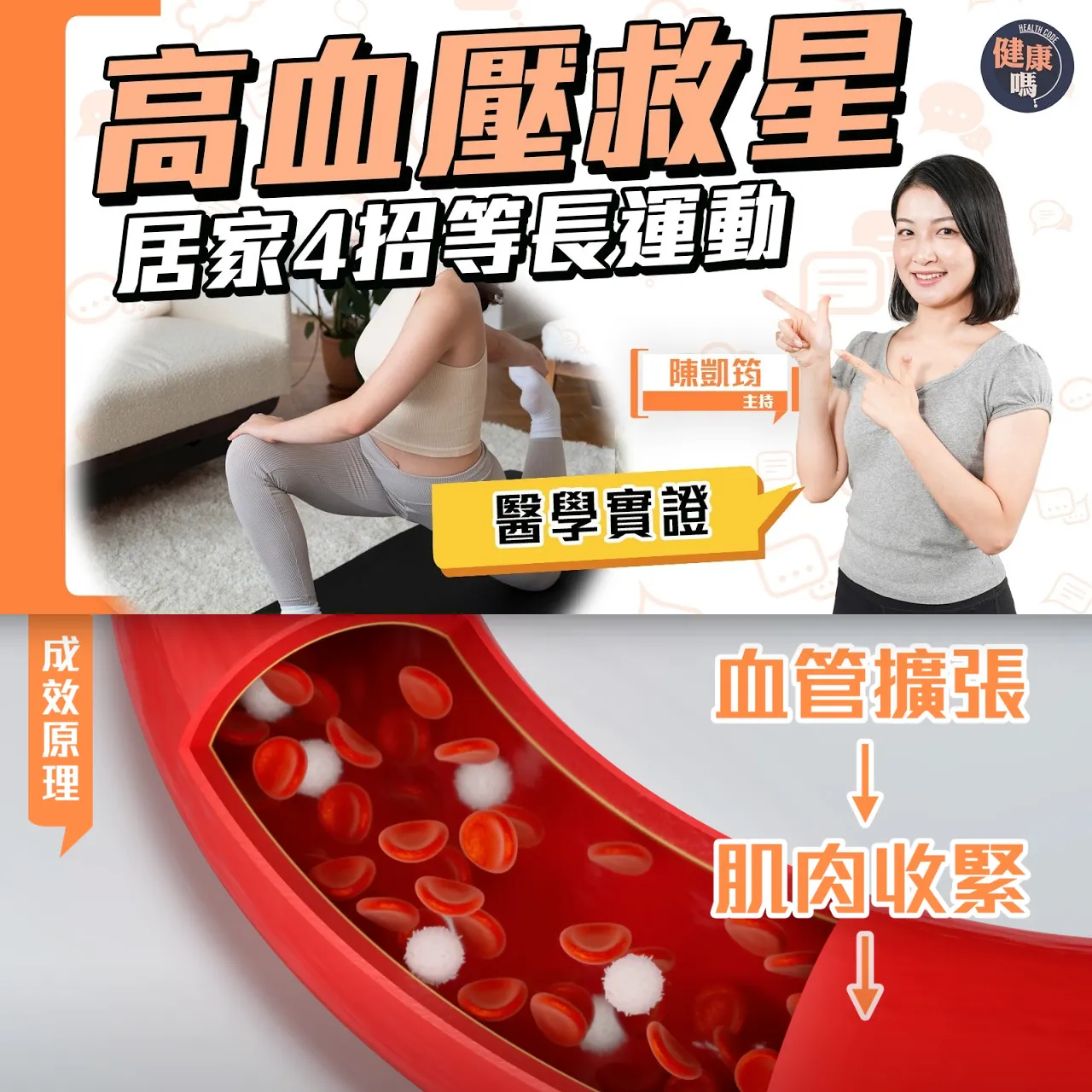 高血壓救星！等長運動 每日4招 不用跑跳 無需器材｜醫學實證支持 效果與用藥相當