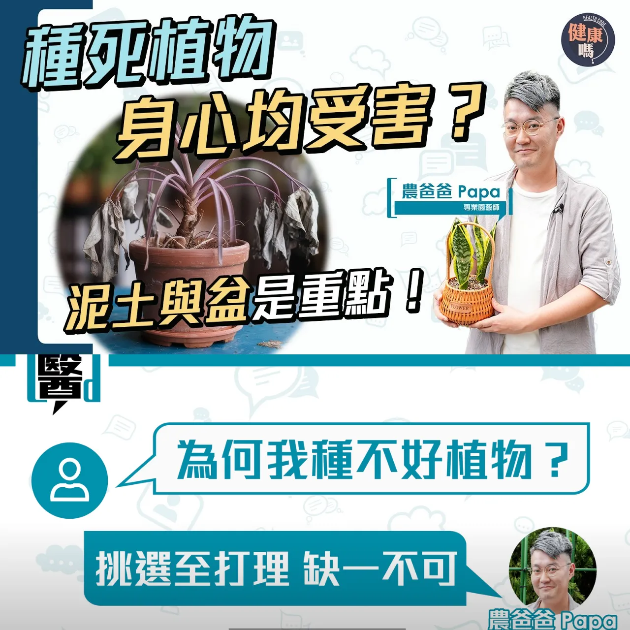 不做植物殺手！正確打理 避4大健康隱憂｜換土換盆成重點 提防園藝界商家2大騙局