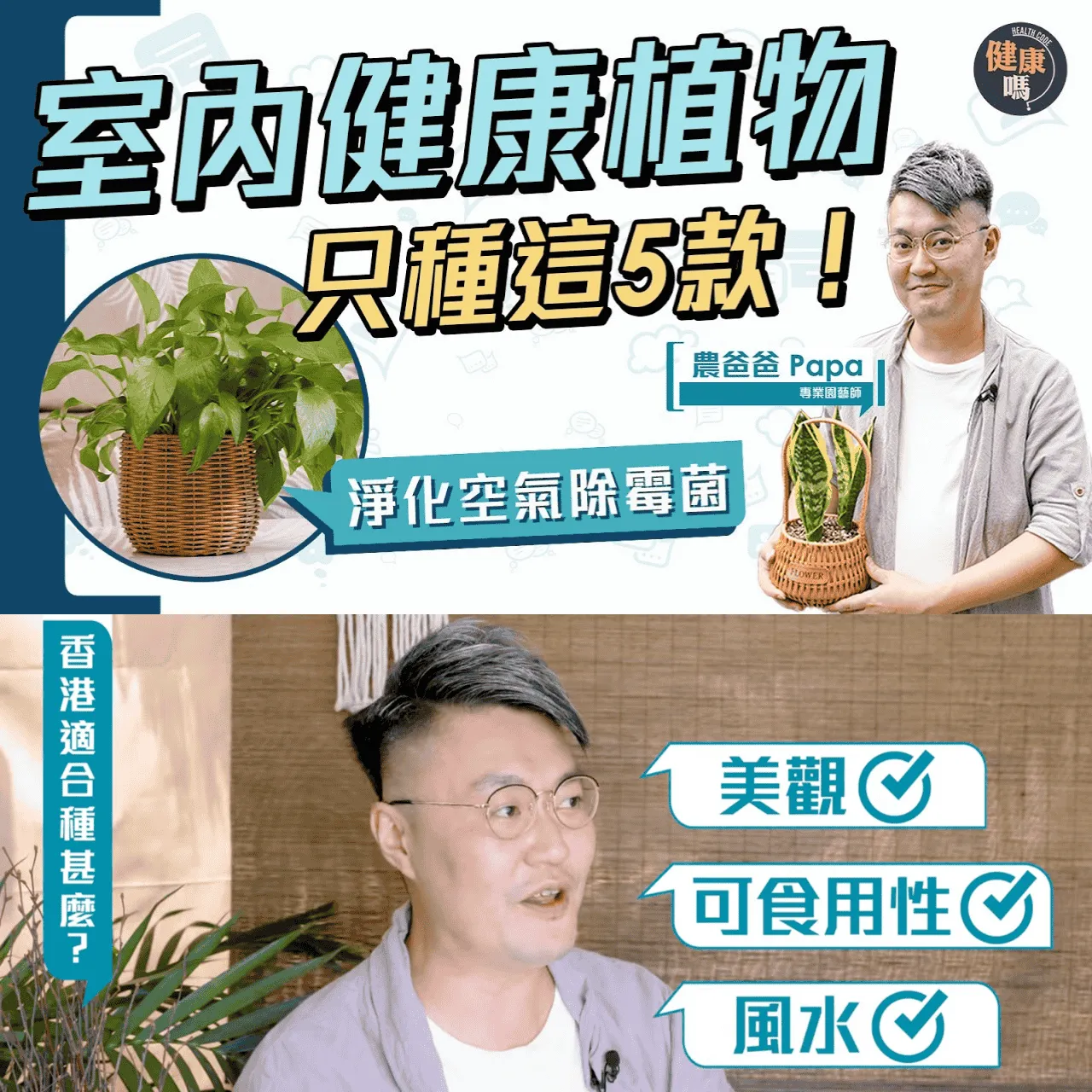 嚴選5大家居健康盆栽！種1盆=1部空氣清新機？｜懶人適用植物 輕鬆除霉菌吸輻射淨化空氣